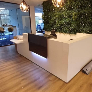 Furniture assembly specialist