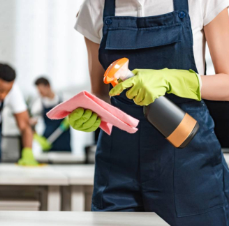 Cleaning Company in Nice