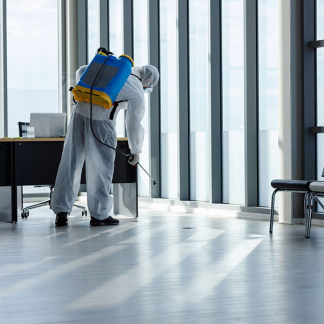 Entreprise de Dératisation et Désinsectisation Alpes-Maritimes