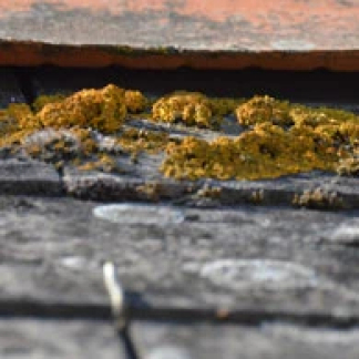 Roofer, Waterproofing in the Alpes-Maritimes