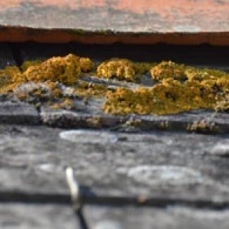 Couvreur  Toiture, Étanchéité dans les Alpes-Maritimes