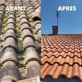 Roof cleaning in Nice