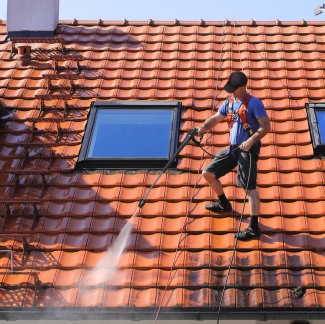 Roof cleaning in Nice